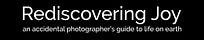 Rediscovering Joy