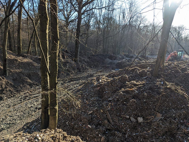 Woodland in Winter, heavy machinery and lorry tracks showing mounds of rubbish piled high and an orange digger top right.