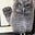 Genevieve Charbin Cerf's avatar