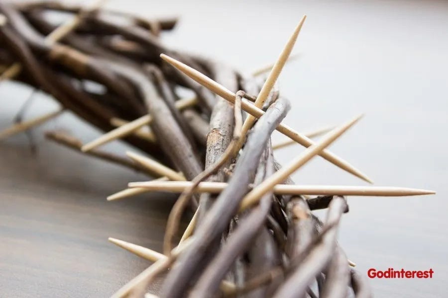 Those Pesky Thorns Those Pesky Thorns