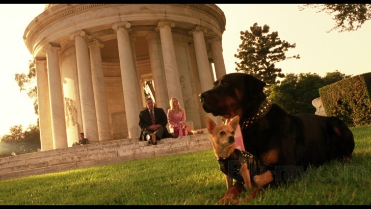Legally Blonde 2: Red, White and Blonde Blu-ray