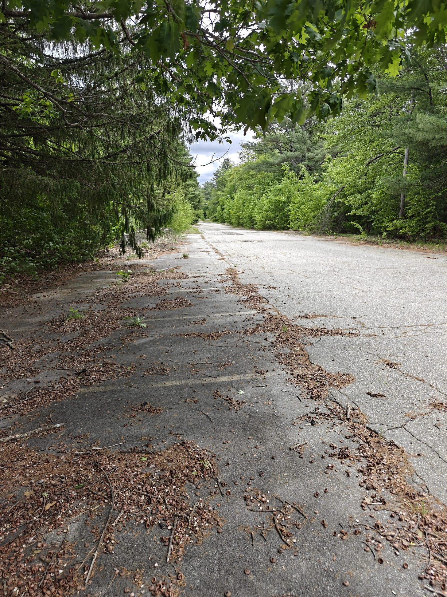 A Trek Along the Cocheco Railroad