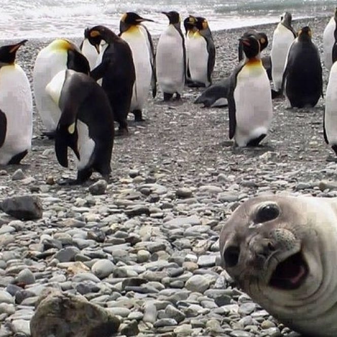 Duane Larson