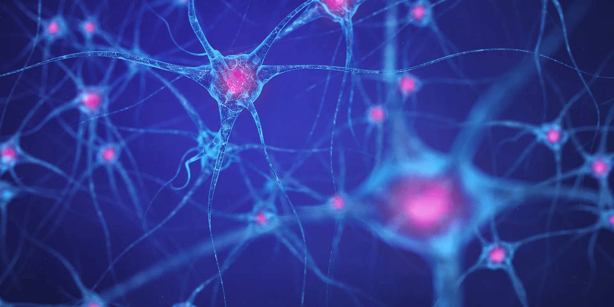 Your Brain Is Not What You Think It Is