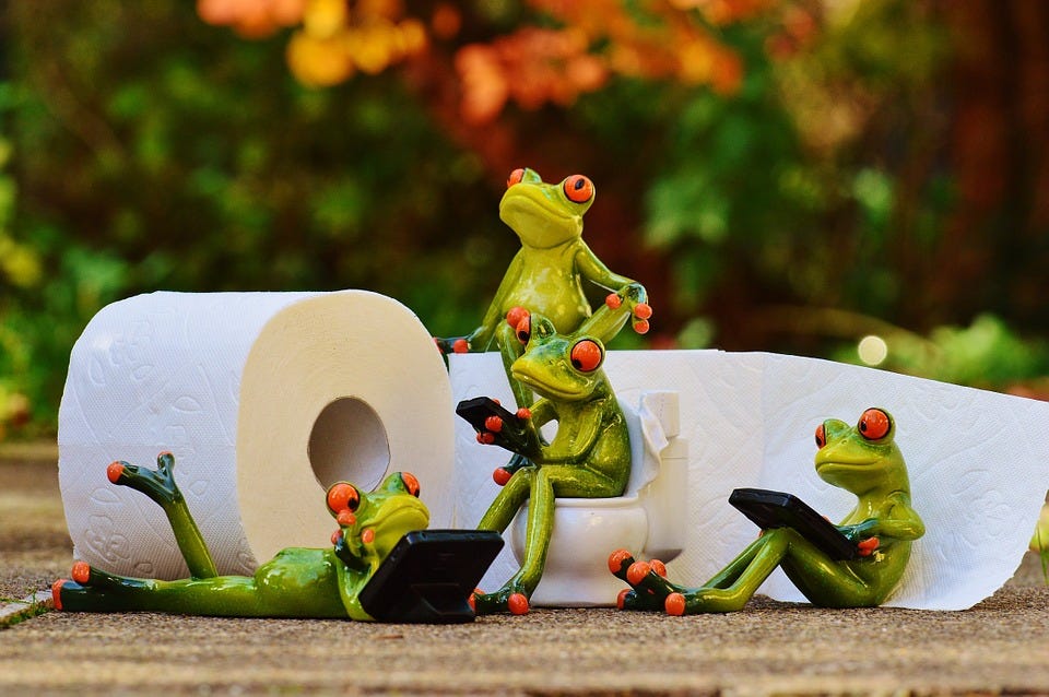 Frog, Toilet, Loo, Session, Funny, Toilet Paper, Wc
