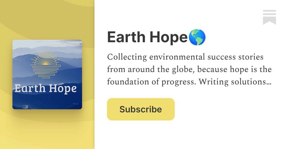 How one woman and a tiny ocean refuge helped sea otters escape extinction