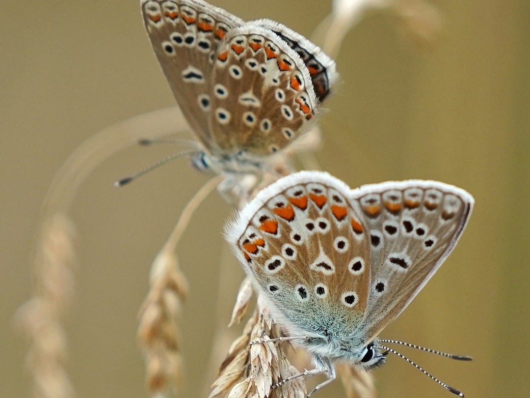 Les 7 Bonnes Nouvelles du Jeudi 6 Novembre 2025 Les 7 Bonnes Nouvelles du Jeudi 6 Novembre 2025