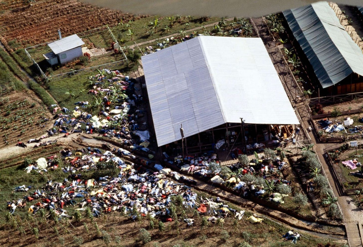 Looking back at the Jonestown tragedy - ABC News