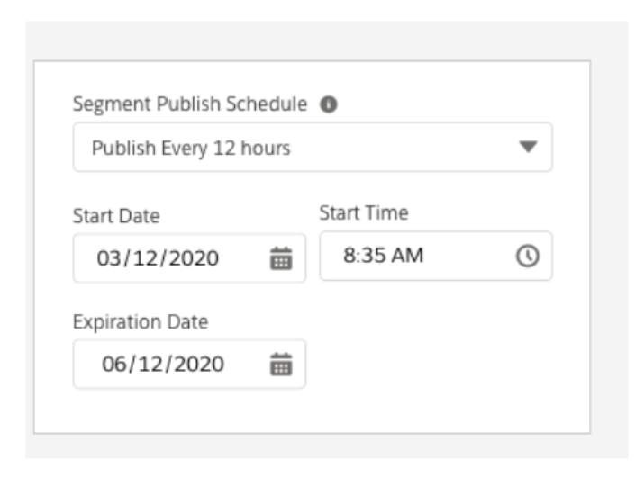 Screen shot of the Publish segment options.