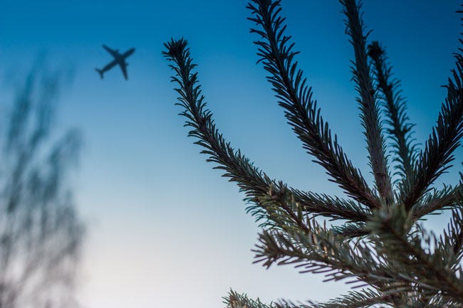 Christmas Miracle - plane in the sky in winter