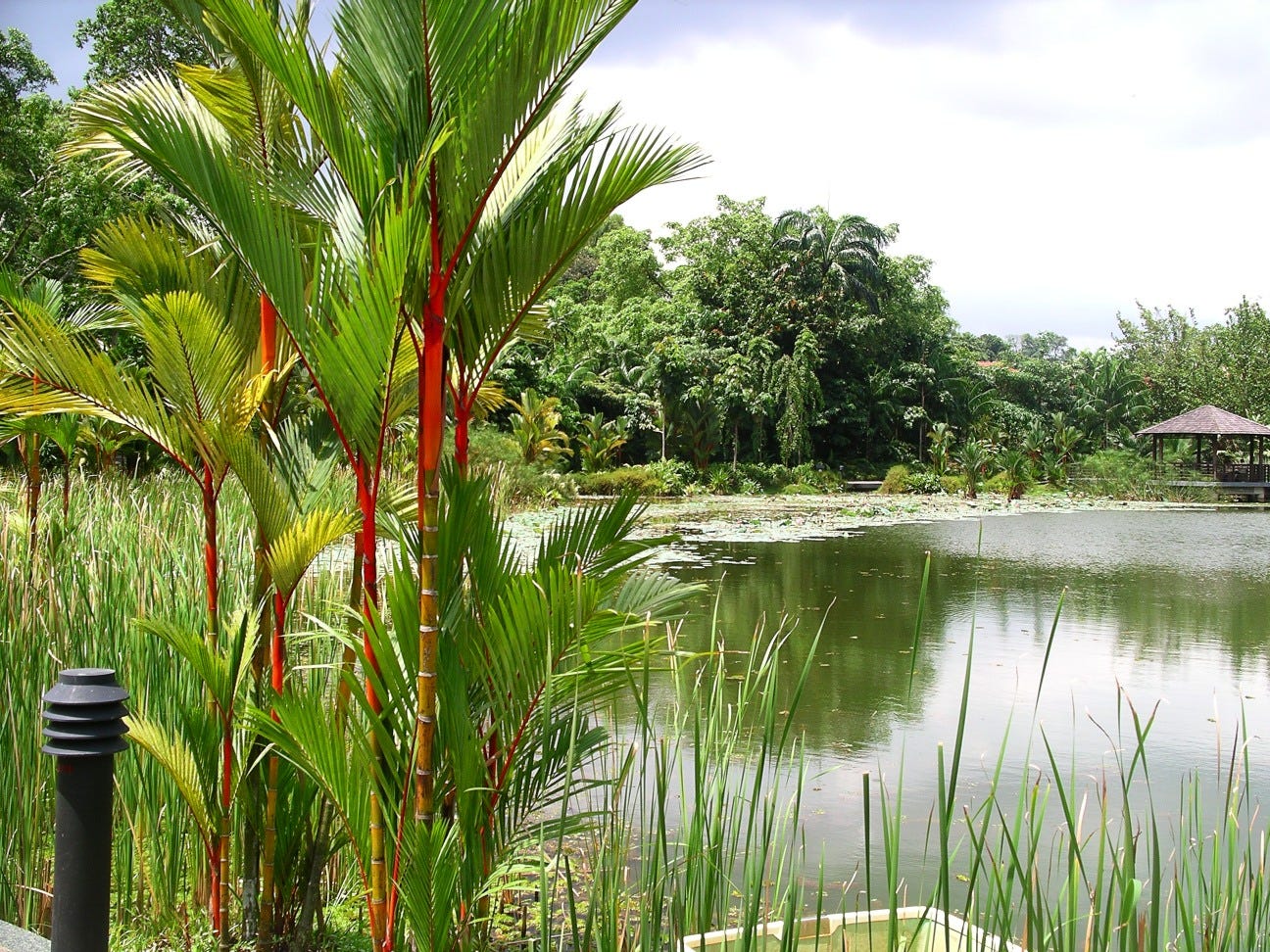Singapore’s tropical urban landscape featuring restored wetlands, wildlife corridors, and integrated biodiversity-friendly infrastructure.