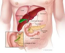 Pancreatitis - Mankato Gastroenterology ...