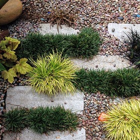 Upgrade a Gravel Pathway