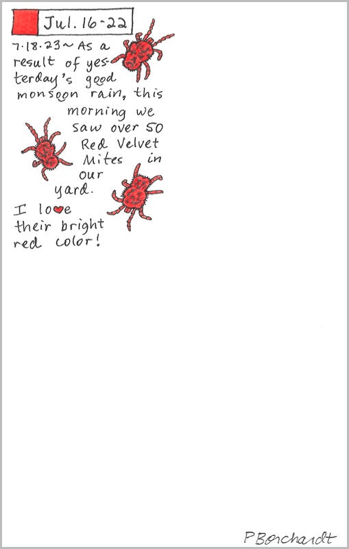 Red Velvet Mites (pen, colored pencil, graphite & watercolor), Perpetual Journal entry