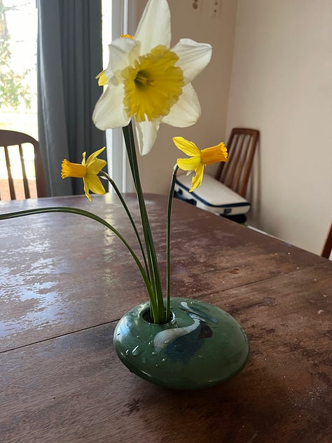 A black figurine of an Egyptian cat. A road lined with blossoming cherry trees. A necklace of aqua colored stones that are cracked and broken. An empty seat and rainy window at a cafe, with coffee on the table. An ikebana arrangement of tall daffodils. A campfire burning inside a potbellied chiminea. A collection of art supplies and a plaster angel. A watercolor sketch of cartoon spiders. A whiteboard at my job bearing the question, What's Your Favorite Thing About Baltimore In The Summer? With many many answers.