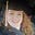 Brittany Skinner's avatar
