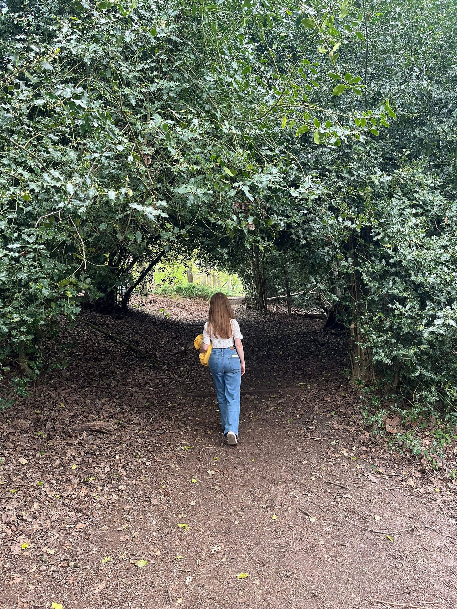 Back of a woman walking into a wooded area. She's wearing jeans, with a white top and has long ginger hair Back of a woman walking into a wooded area. She's wearing jeans, with a white top and has long ginger hair