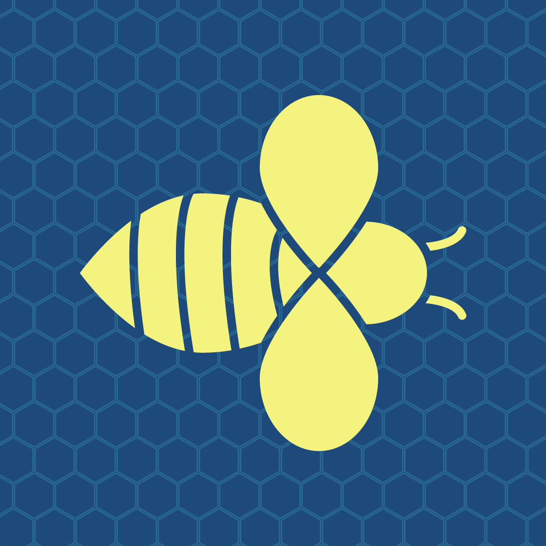 The Hachi by Dan Orlowitz