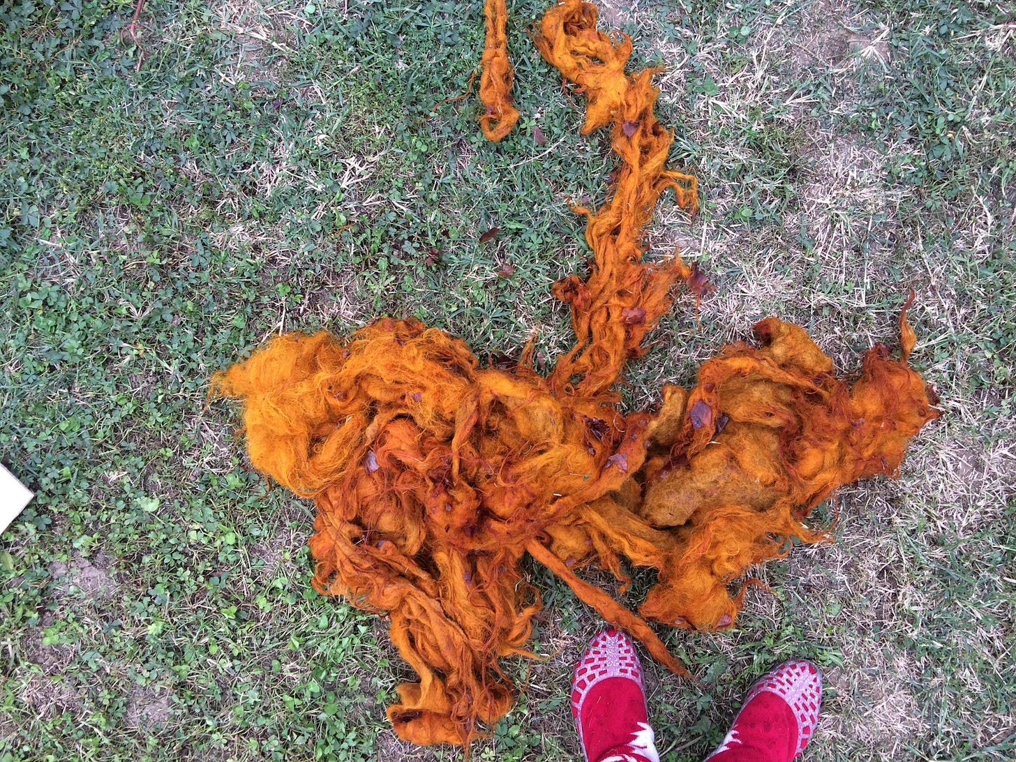 Wool dyed in onion skins