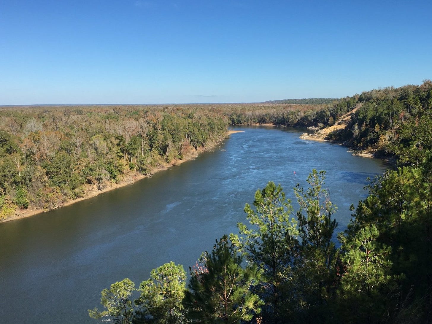 Georgia Ackerman, Protecting Florida's Mighty Apalachicola River —  Apalachee Audubon Society