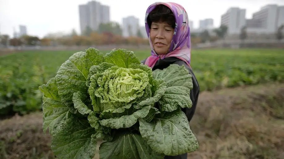 Review: The North Korea, by Andrei Lankov (2024)