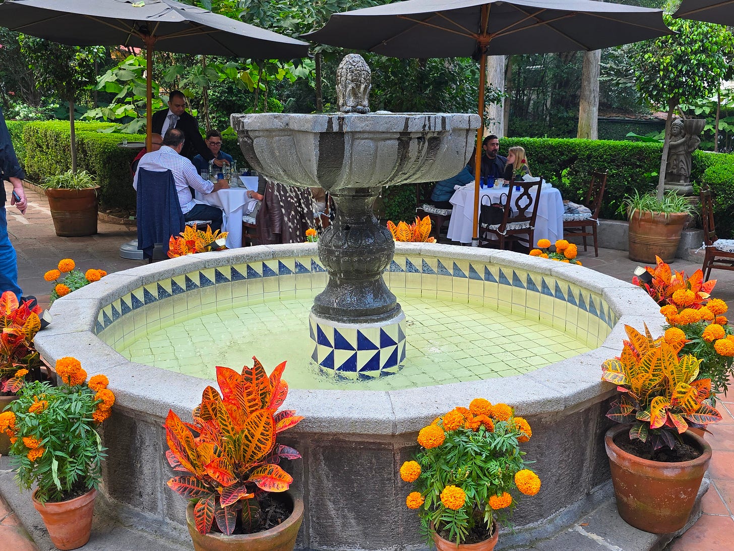 Fountains, gardens, and al fresco dining at San Ángel Inn.