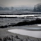 Breaking The Cycle Of Oppression