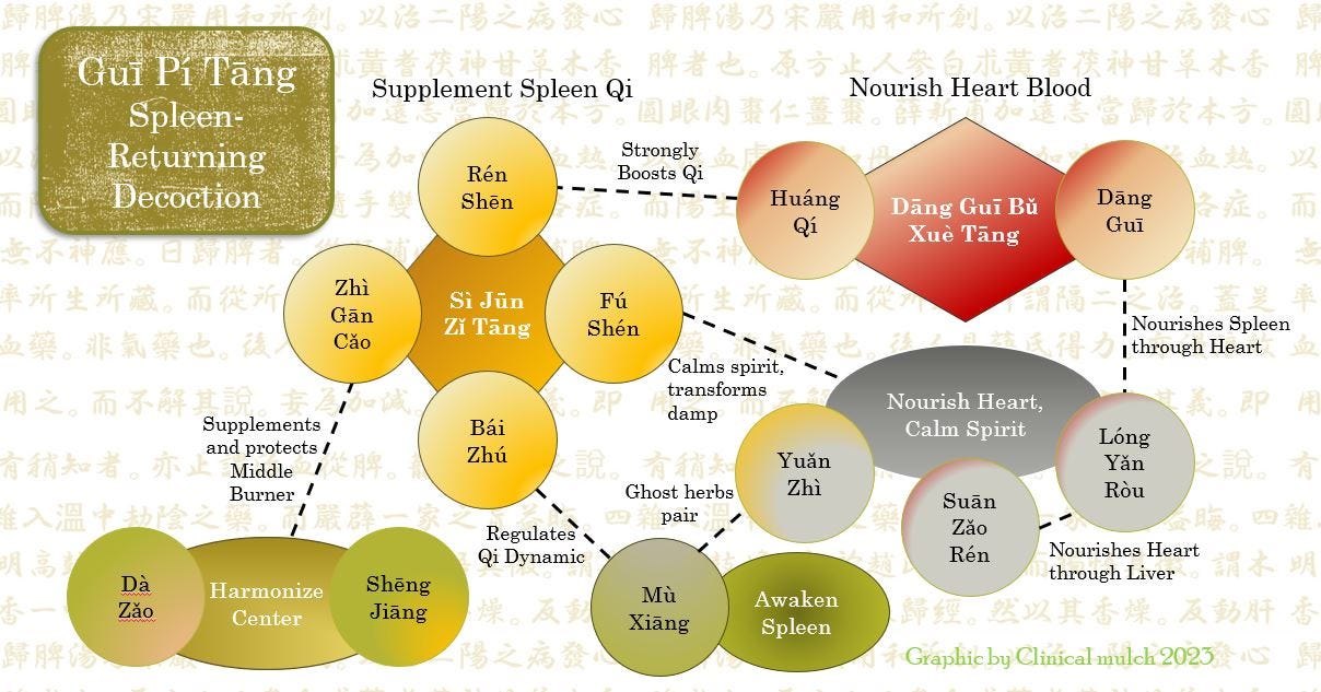 Infographic of Gui Pi Tang, showing ingredients and functions explained in the text of the post