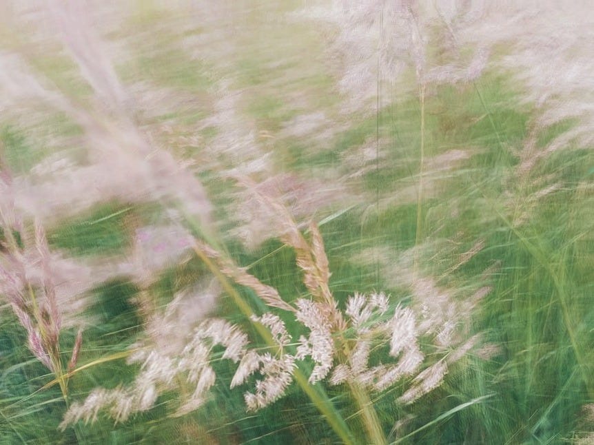 a blurry photo of a field of grass