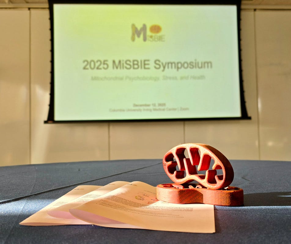 Photo taken at the 2025 MiSBIE Symposium with the wooden mito in front of the projector. Photo taken at the 2025 MiSBIE Symposium with the wooden mito in front of the projector.