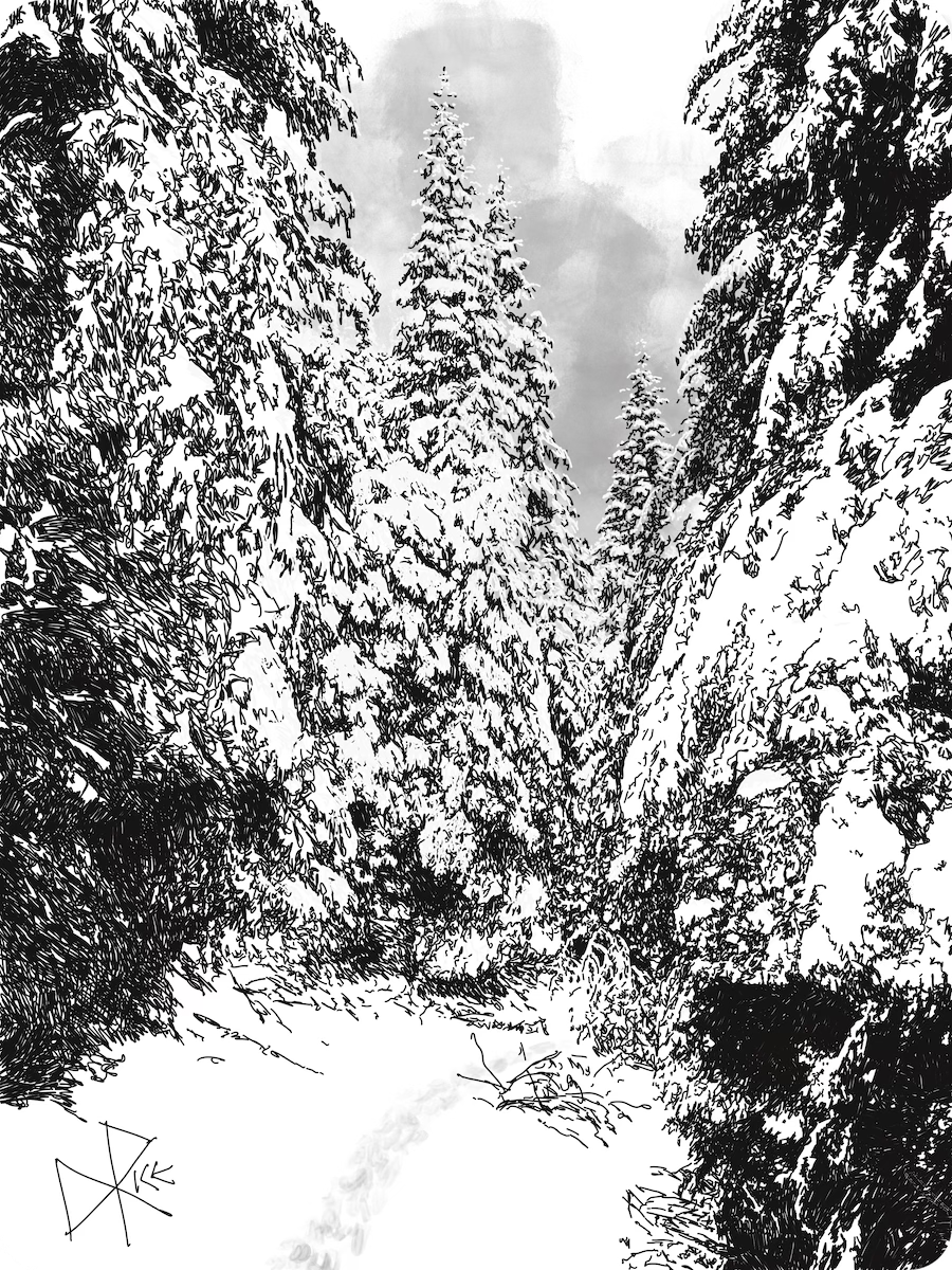 A view from inside a forest. Trees to the front and to the side, only trees. A path between the trees has been created by its inabitants. Sketch art by Don Rice.