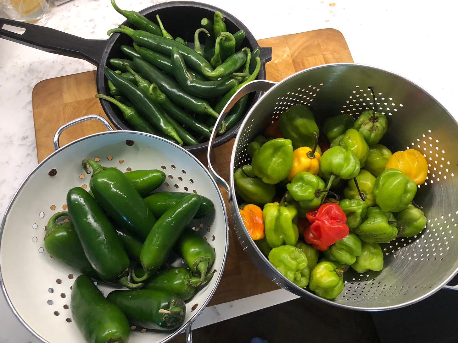 Three colanders holding Serrano, Habanero, and Jalapeño peppers
