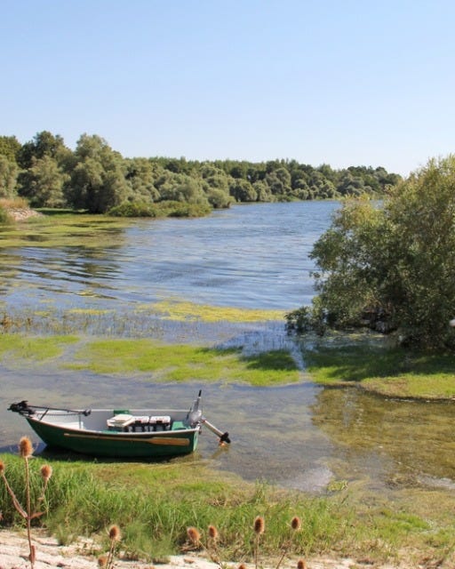 May be an image of fishing and boat