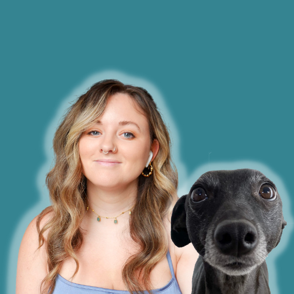 Artwork for Being Human by Human Jess