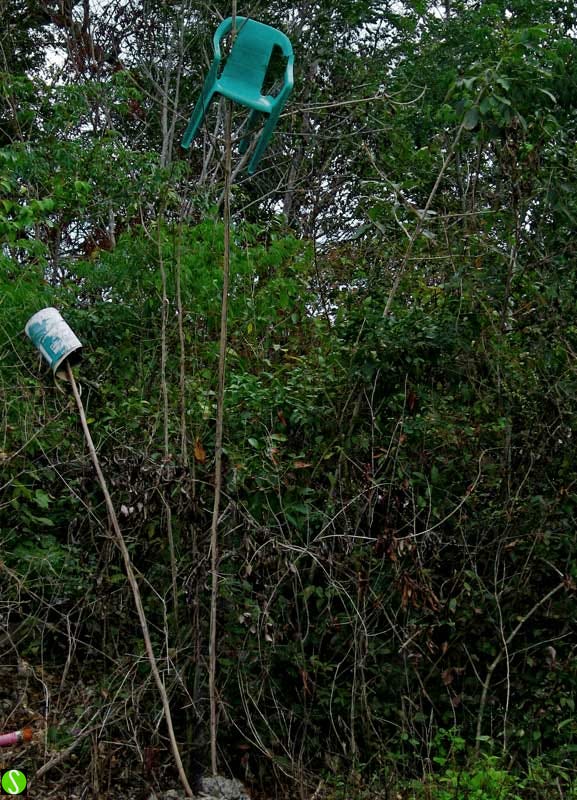2007 photograph by Steve Butcher of small plastic chair in tree in Mexico - 'I live here' 2007 photograph by Steve Butcher of small plastic chair in tree in Mexico - 'I live here'