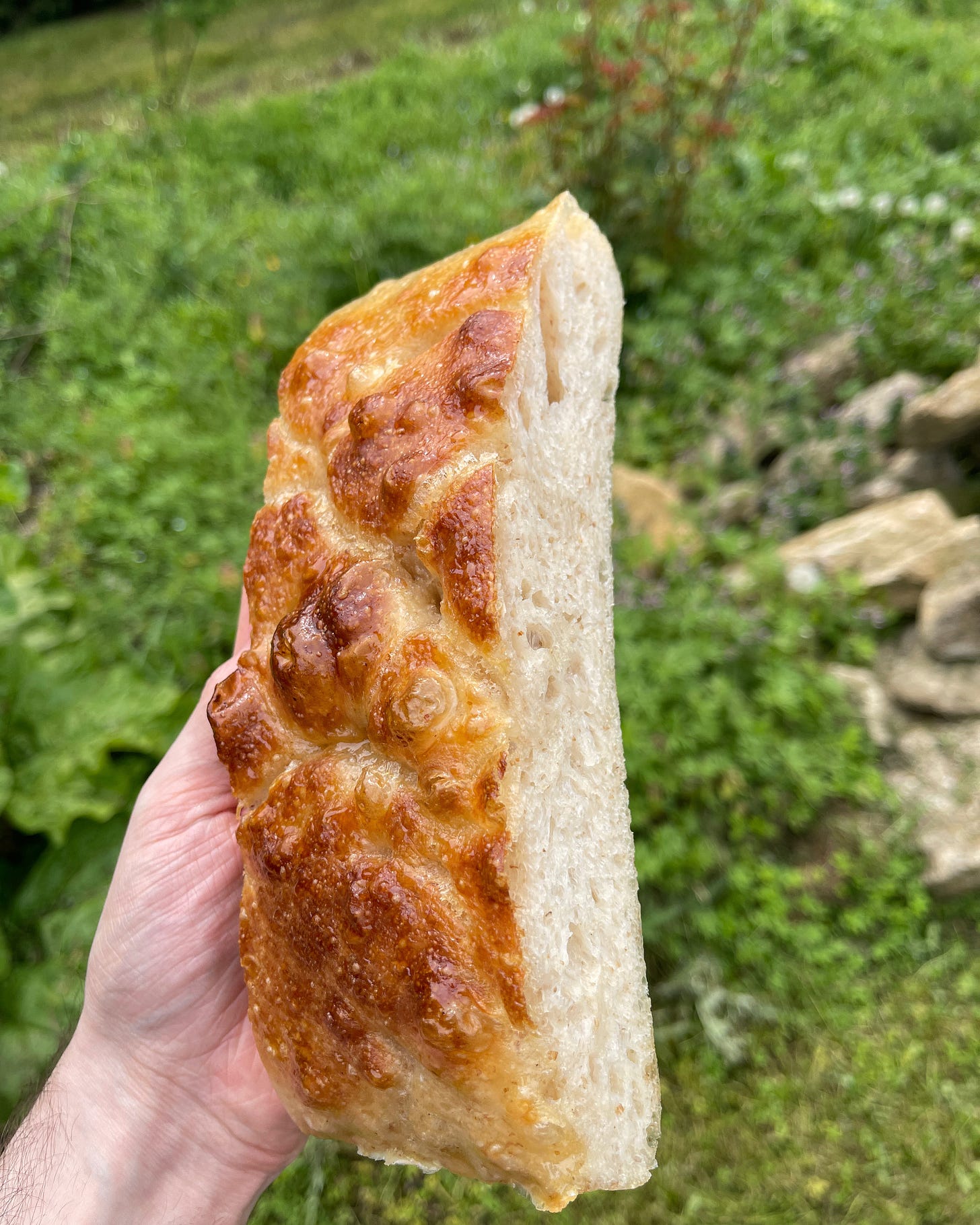 honey glazed focaccia