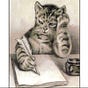 Cat's avatar
