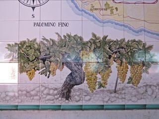 A - Jerez, Palomino grapes on tile A - Jerez, Palomino grapes on tile