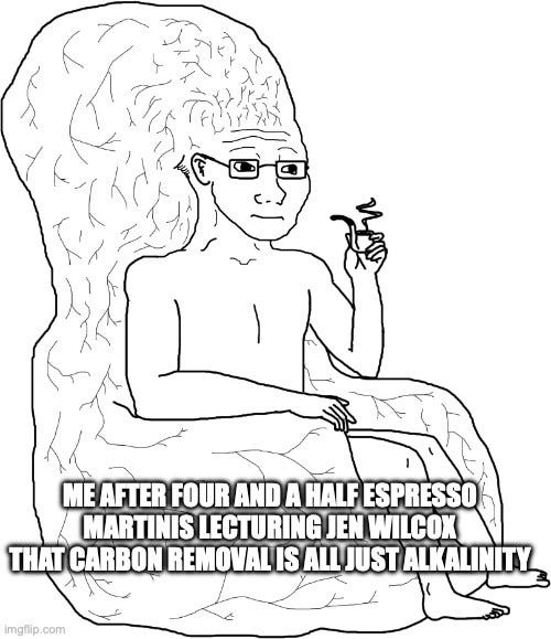 Big brain wojak drawing: a bespectacled figure with an enormous wrinkled brain sits holding a drink. Text: "ME AFTER FOUR AND A HALF ESPRESSO MARTINIS LECTURING JEN WILCOX THAT CARBON REMOVAL IS ALL JUST ALKALINITY"