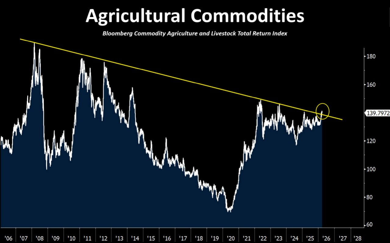 Long-run chart of the Bloomberg Commodity Agriculture and Livestock Total Return Index from 2006 to 2026. A yellow descending trendline connects the 2008, 2011-12, and 2022 peaks. The index, currently at 139.8, is circled where it approaches and tests that long-term resistance line from below.