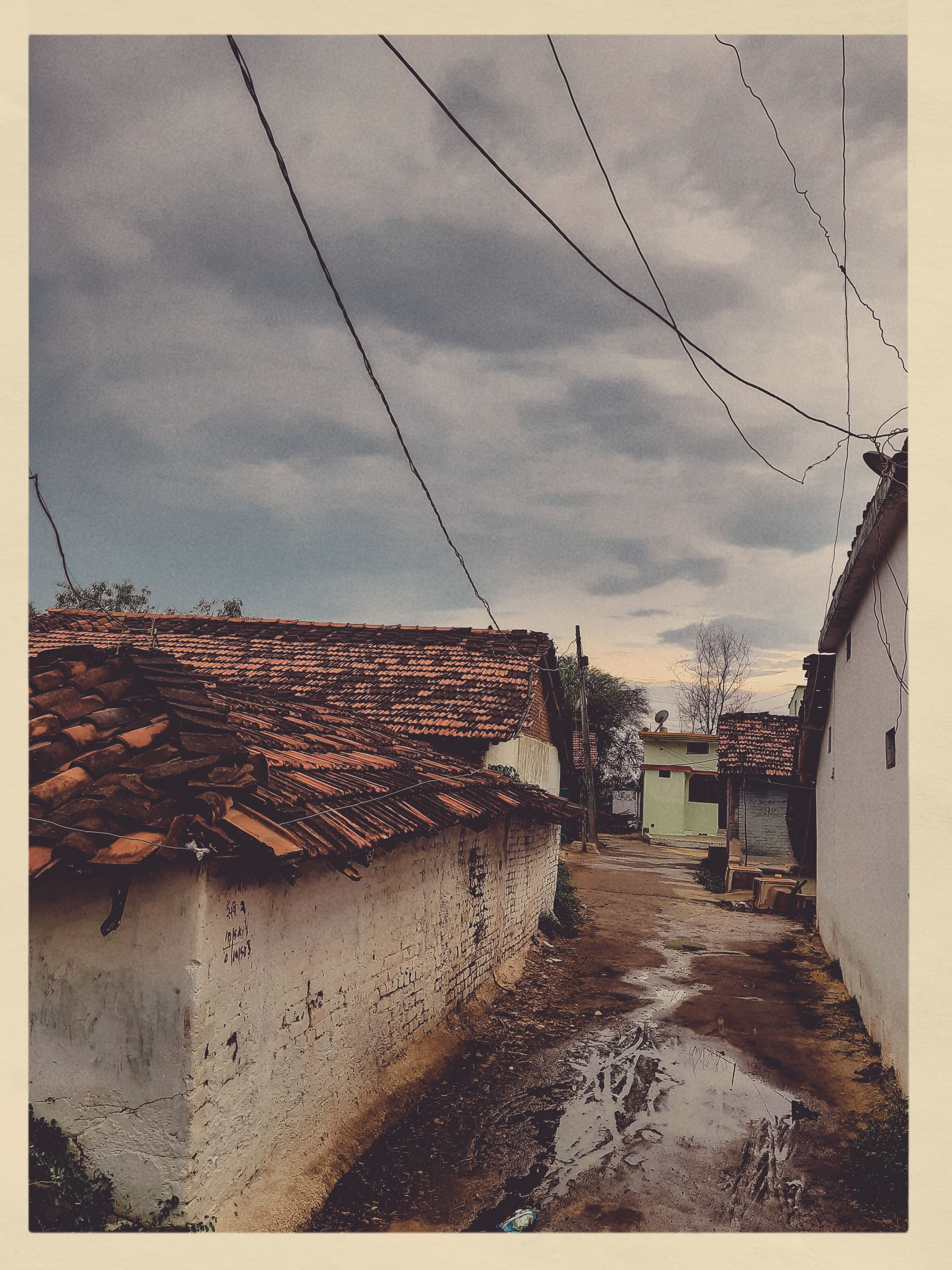 The farm
