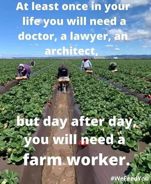 May be an image of 3 people and text that says 'At least once in your life you will need a doctor, a lawyer, an architect, but day after day yu will need a farm worker. #WeFeedYou'