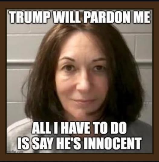 May be an image of 1 person and text that says 'TRUMP WILL PARDON ME ALL I TO DO IS SAY HE'S INNOCENT'
