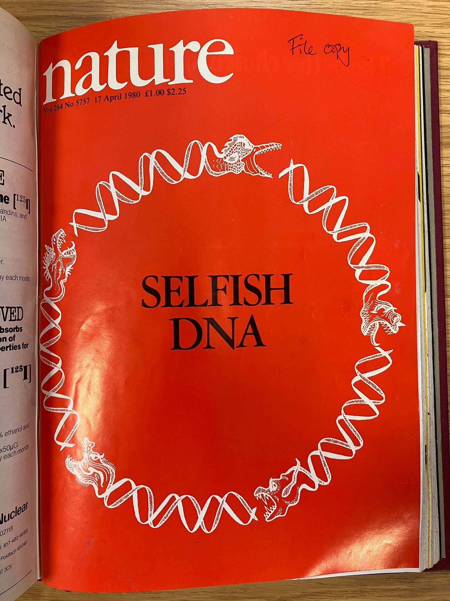 Cover of Nature, in bright red, bearing the words SELFISH DNA surrounded by a circle of DNA, interrupted by the heads of ravenous beasts.