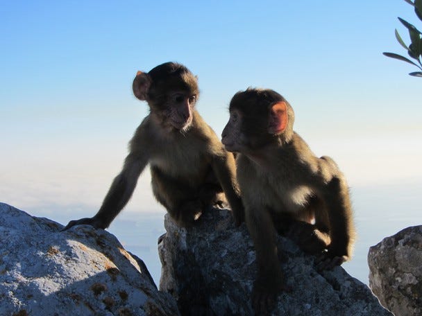 TvyamNb-BivtNwcoxtkc5xGBuGkIMh_nj4UJHQKuoXVKvOU5LJycSTaOhFSHPt2ywcRw0R4mRSavEw