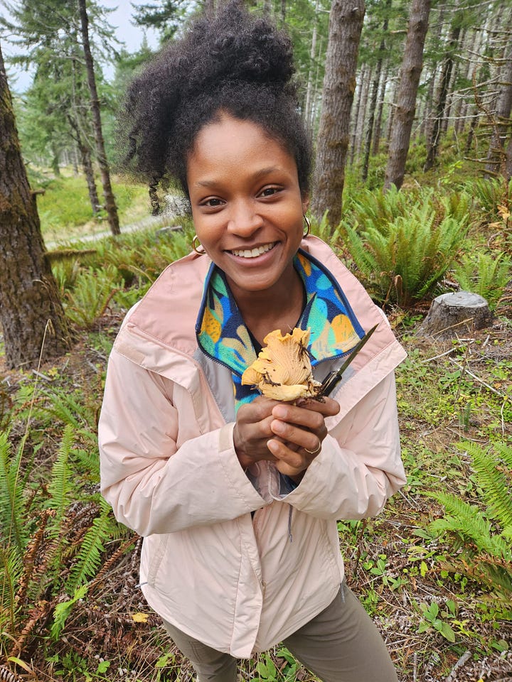 Foraging for chanterelles