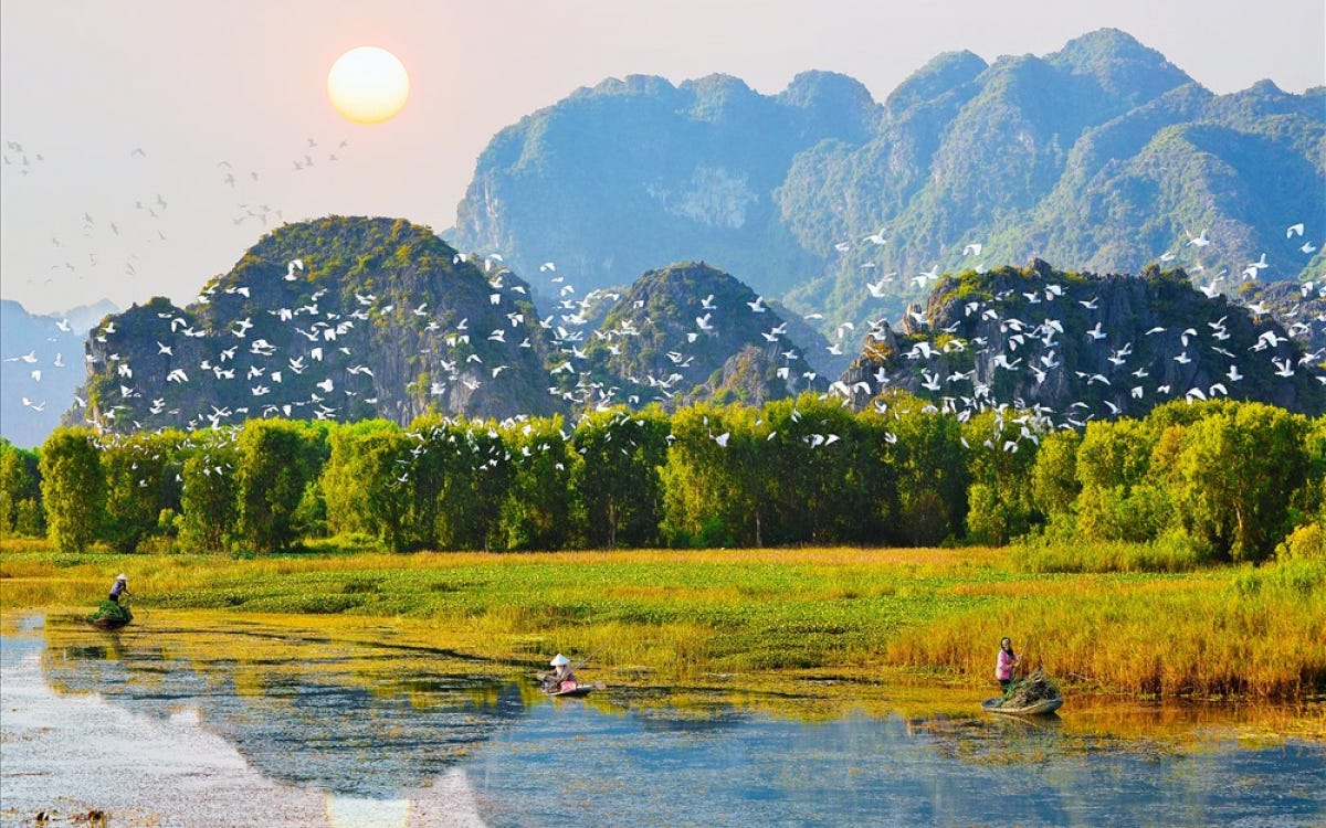 Thung Nham Bird Park - Gadt Travel