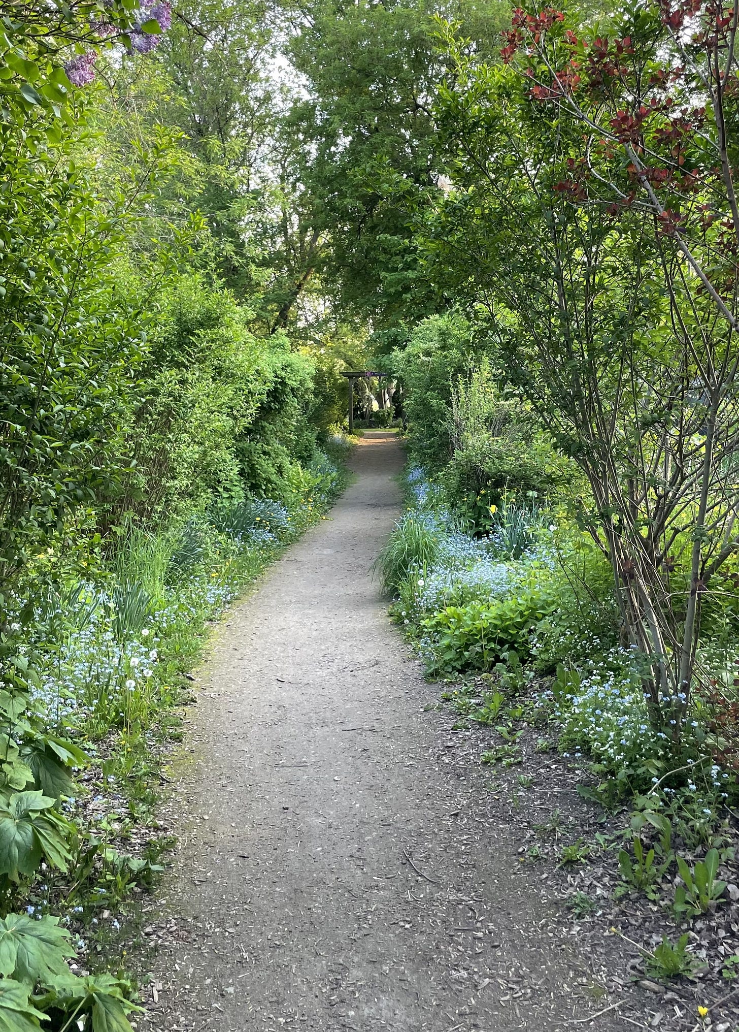 A dirt path through trees, bushes, and flowers.