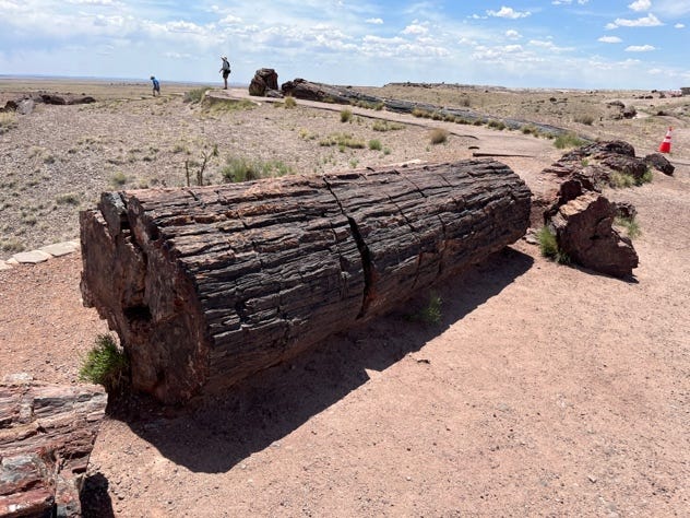 A large log in the desert

AI-generated content may be incorrect.