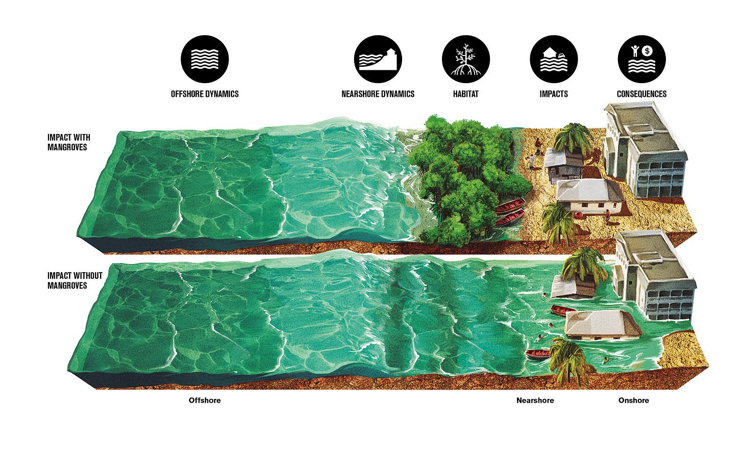 Research shows mangrove conservation can pay for itself in flood protection